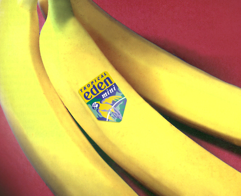 Geest Banana Label Design